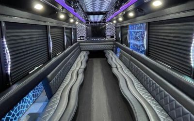 20-30-passenger-party-buses-interior